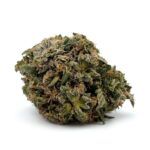 Chocolate Kush
