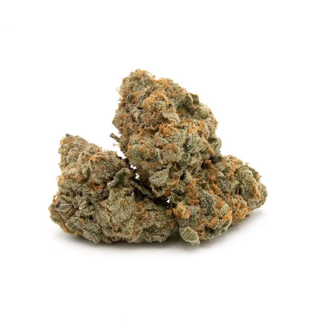 Critical Jack