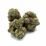 Chocolope