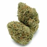 Blue Nuken
