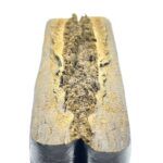 Kabul Hash