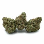 Purple Nuken