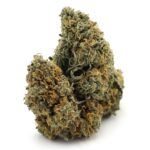 Diablo OG