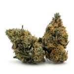 Diablo OG