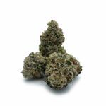 Purple Legend Bomb