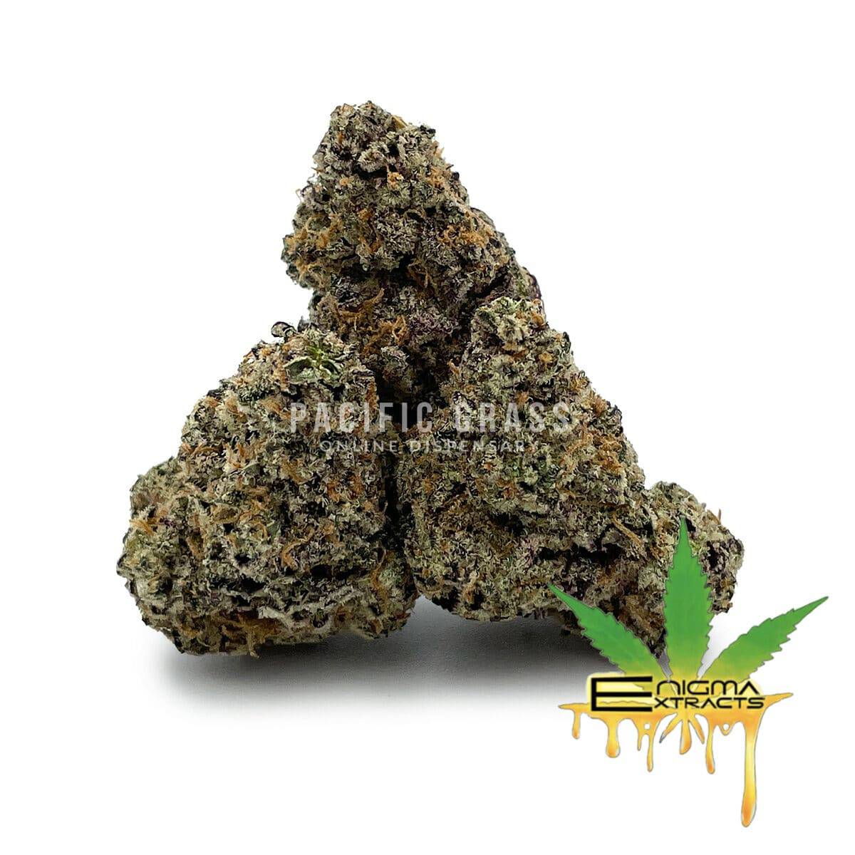 Enigma Extracts - Apes In Space