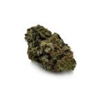 Enigma Extracts - Neon Lights