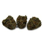 Enigma Extracts - White Death