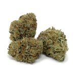 Earth Bubba