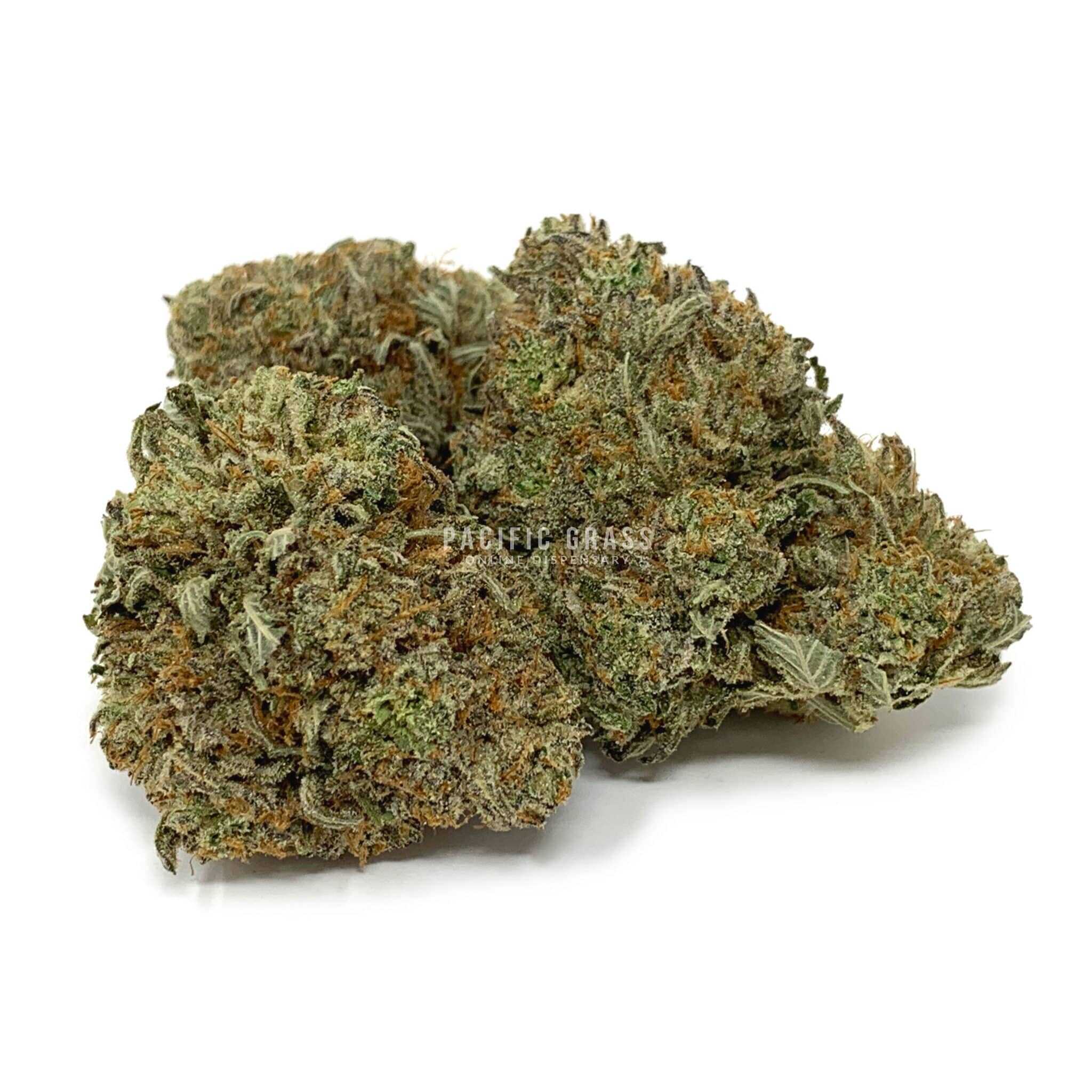 Earth Bubba