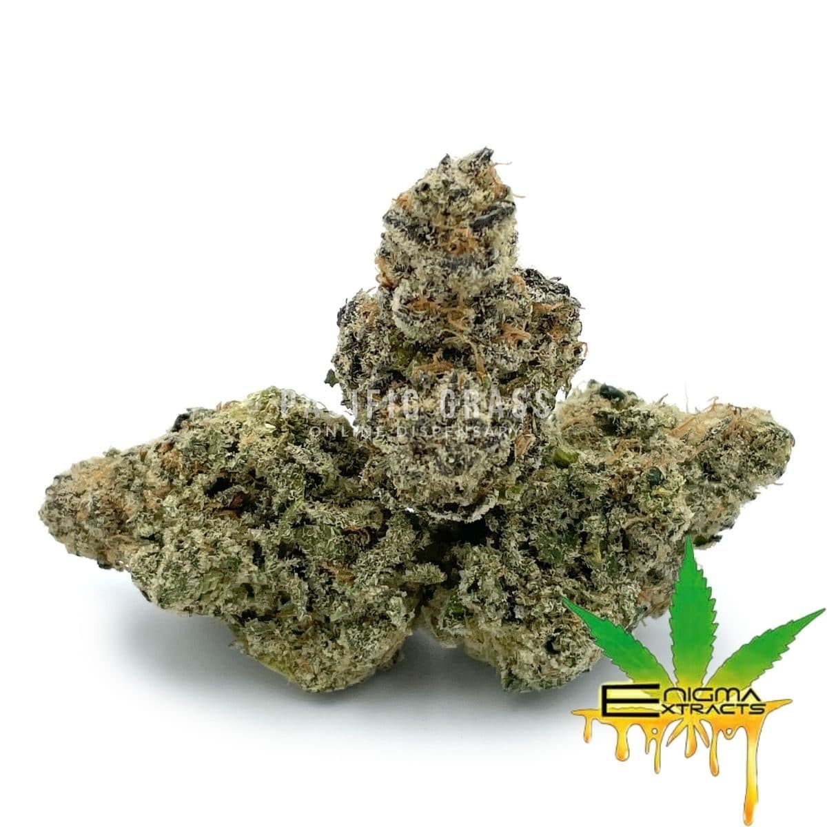Enigma Extracts - 33rd Degree