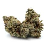 Enigma Extracts - Animal Star Cookies