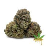 Enigma Extracts - Comatose OG