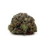 Enigma Extracts - Comatose OG