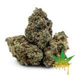 Enigma Extracts - Animal Star Cookies