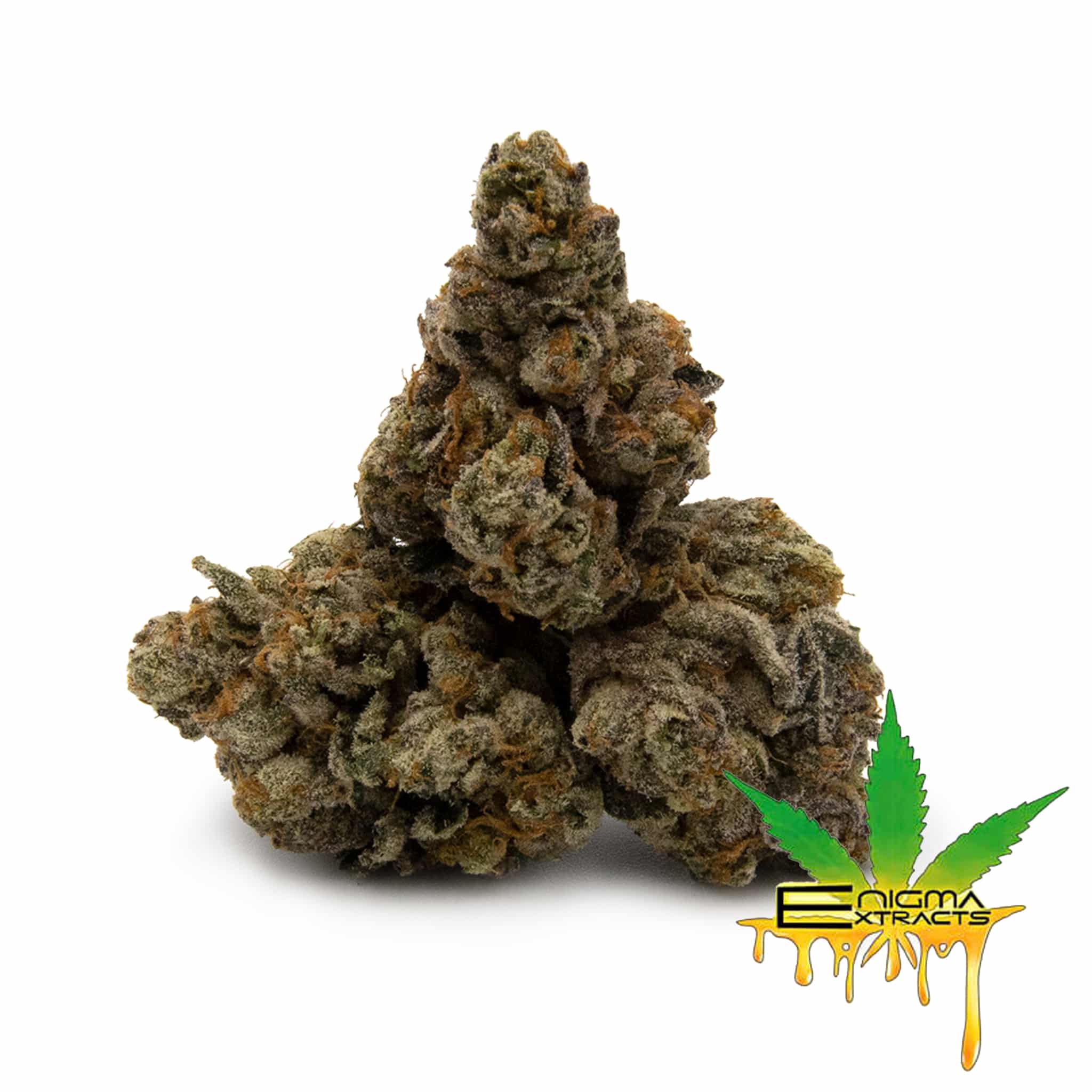 Enigma Extracts - Biscotti