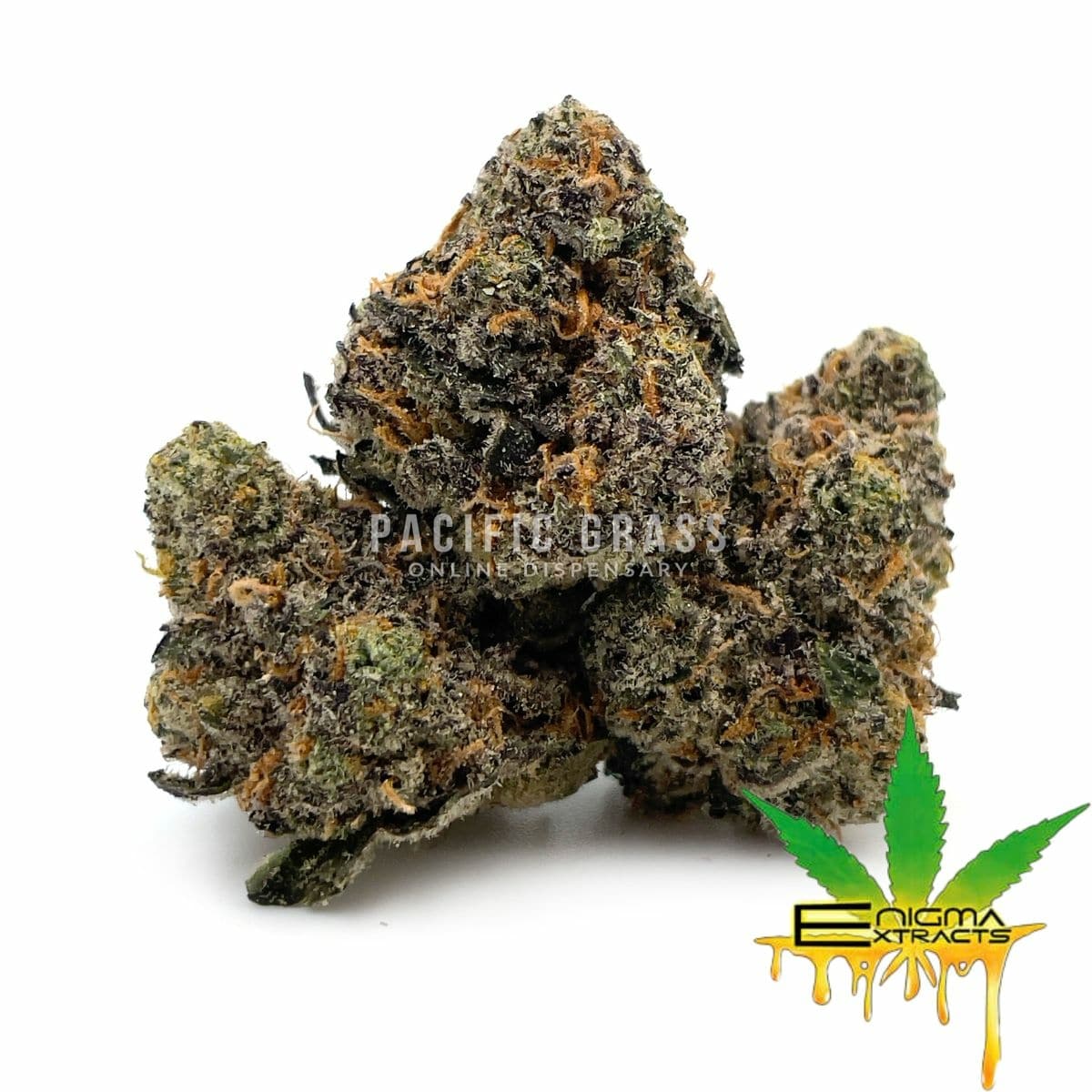 Enigma Extracts - Gary Satan