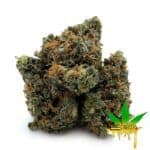 Enigma Extracts - Fruitloops - AAAA