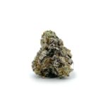 Enigma Extracts - G8 - Smalls