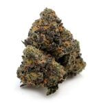 Enigma Extracts - Gary Satan