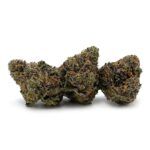 Enigma Extracts - Gary Satan
