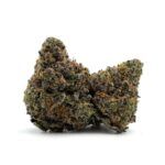 Enigma Extracts - Gary Satan