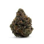 Enigma Extracts - Gary Satan