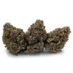 Enigma Extracts - Gummy Bunz