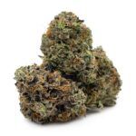 Enigma Extracts - Hindu Kush