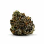 Enigma Extracts - Luxuriotti