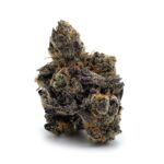 Enigma Extracts - Money Maker