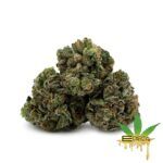 Enigma Extracts - Black Death - Smalls
