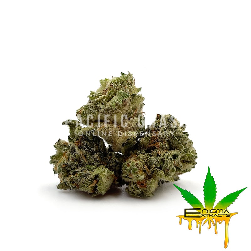 Enigma Extracts - Gary Payton - Smalls