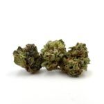 Enigma Extracts - Gary Payton - Smalls