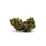 Enigma Extracts - Gary Payton - Smalls