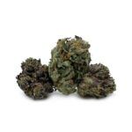 Enigma Extracts - Pine Tar - Smalls