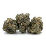Enigma Extracts - LSO White Truffle