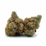 Velvet Bud