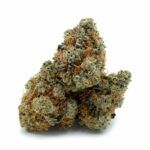 Velvet Bud