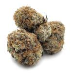 Blackberry Kush