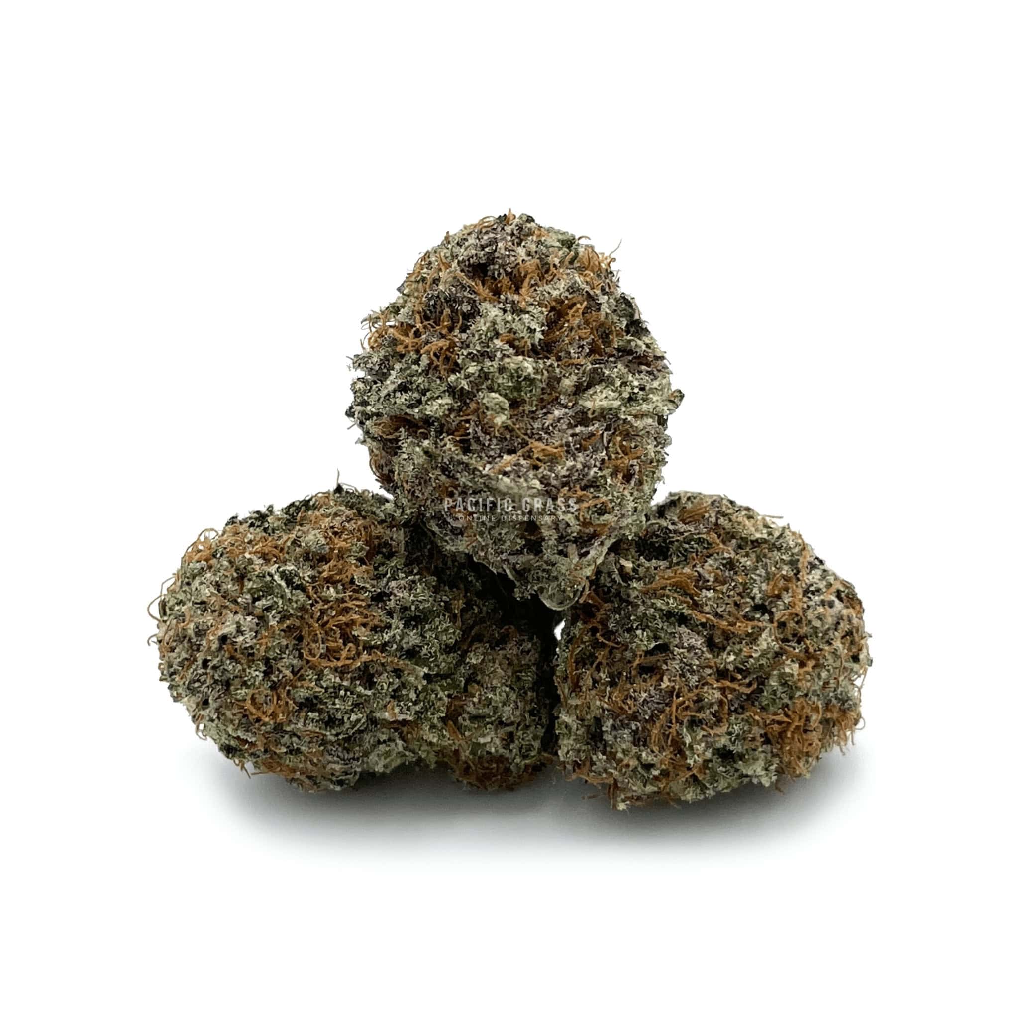 Jack Frost