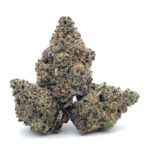 Frosty Gelato