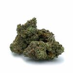 Sun Peaks Cultivation - Gorilla Glue #4