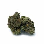 Sun Peaks Cultivation - Gorilla Glue #4