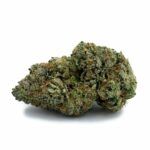 Sun Peaks Cultivation - Gorilla Glue #4