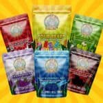 Golden Monkey Extracts - Gummies - 240MG THC + 100MG CBD