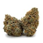 Gelato Glue