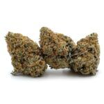 Gelato Glue