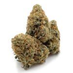 Gelato Glue