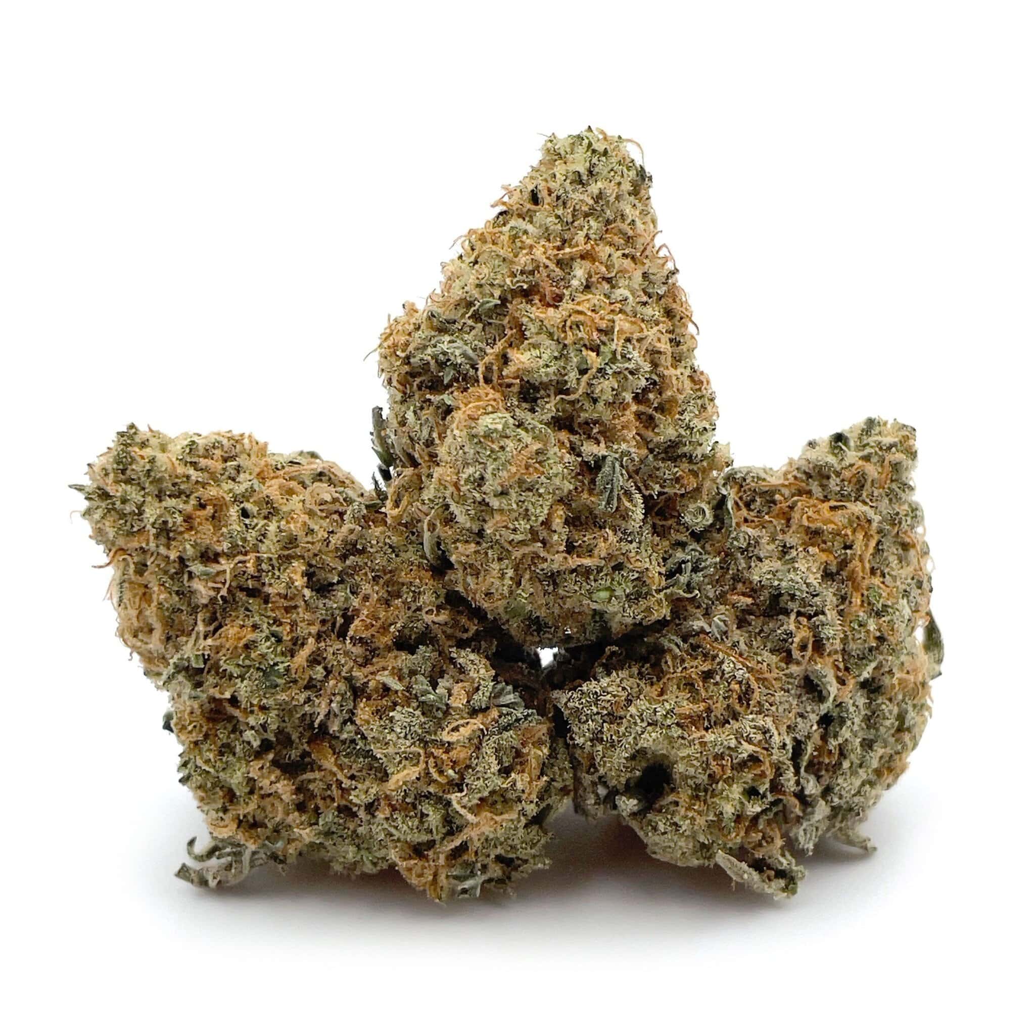 Gelato Glue